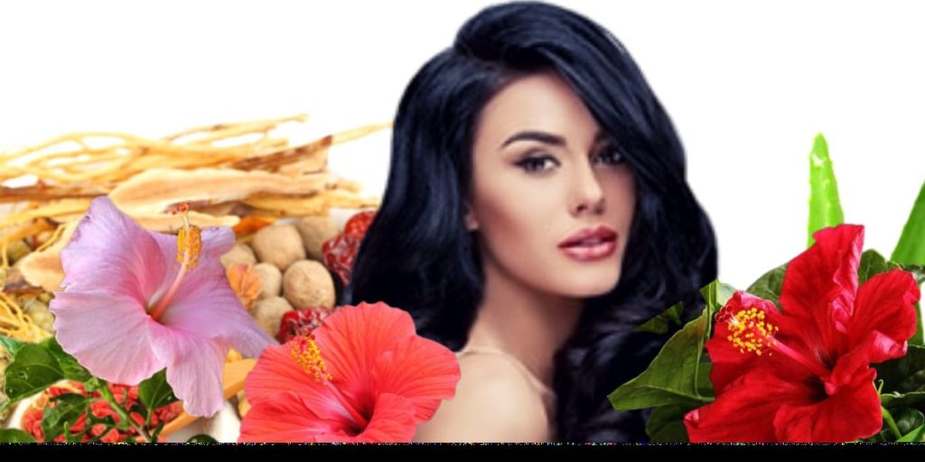 মুক্তি পান চুল পড়া থেকে