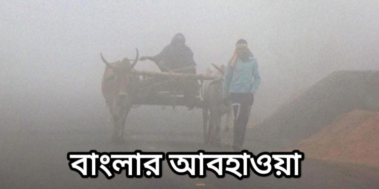 Today’s Temperature: গতকালের তুলনায় পারদ নামল বেশ খানিকটা, তবে বর্ষশেষের রাতে থাকবে কি এই আমেজ?	