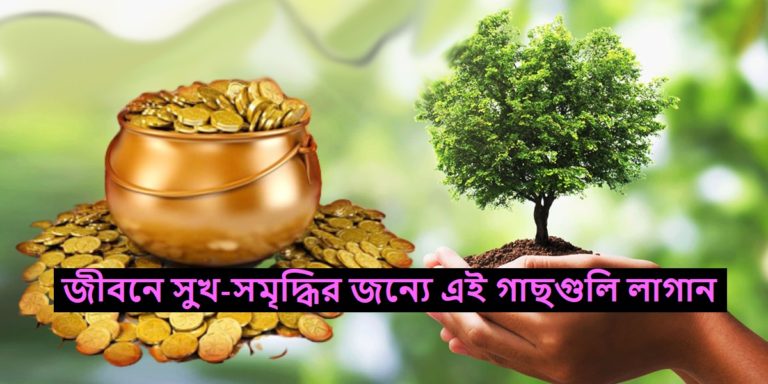 Lucky Plants For Wealth : কোন কোন গাছ আপনার জন্য নিয়ে আসবে সুখ-সমৃদ্ধি ও শান্তি?	
