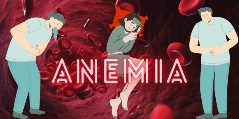Anemia : অ্যানিমিয়া থাকলে বা রক্তে হিমোগ্লোবিন, আয়রনের ঘাটতি মেটাতে অবশ্যই খান এই খাবারগুলি	