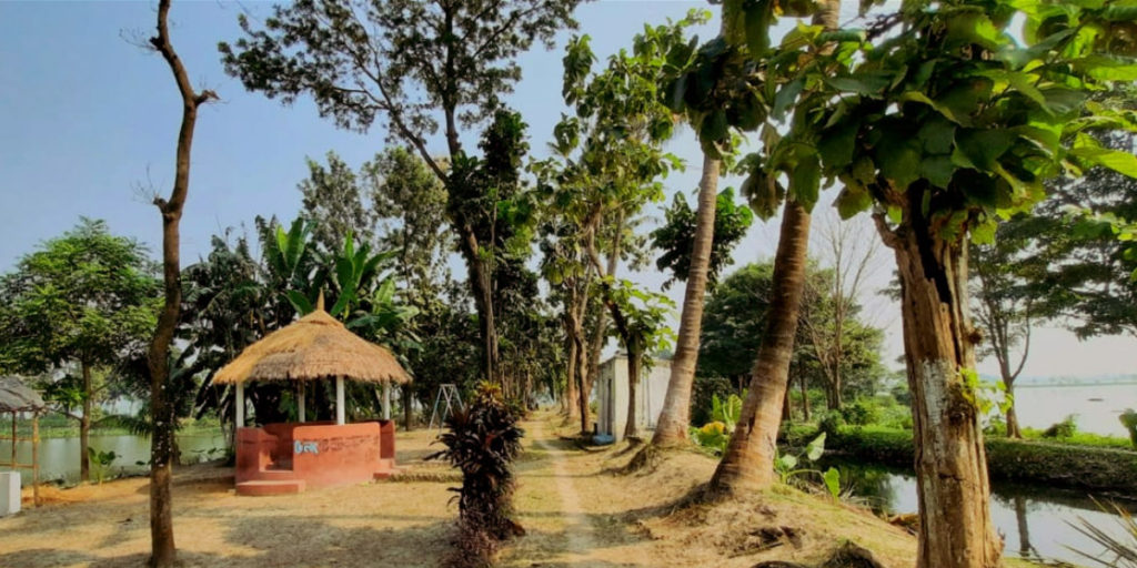 সুকান্ত নগর সমিতি ভেড়ি / Sukanta Nagar Samity Bheri