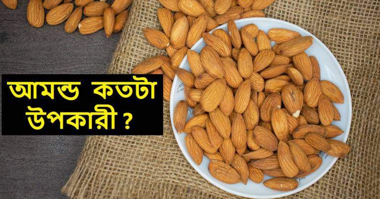 Almond benefits: হার্ট অ্যাটাক, স্ট্রোক থেকে মুক্তি পেতে চান? প্রতিদিন নিয়ম করে খান আমন্ড	