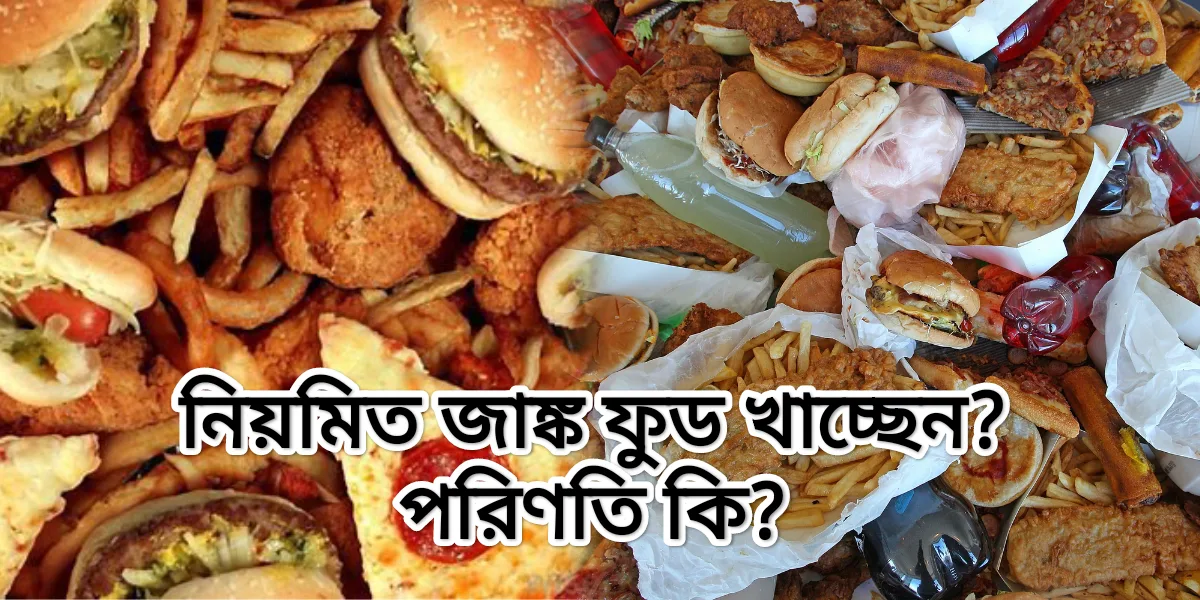 Consuming junk food can be harmful for your heart / জাঙ্ক ফুড খাওয়া আপনার হার্টের জন্য ক্ষতিকর হতে পারে
