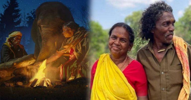 The Elephant Whisperers: জানেন কি কাদের জীবনের গল্প নিয়ে তৈরি হয়েছে “দা এলিফ্যান্ট হুইসপারার্স”?	