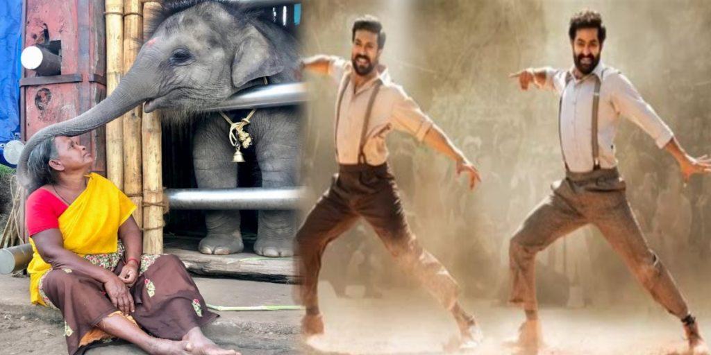 অস্কার ২০২৩ এর মঞ্চে ভারতের জয় / India Oscar Winners 2023