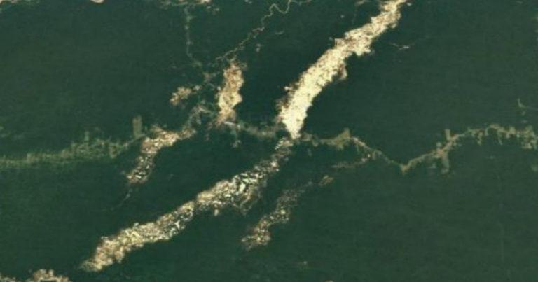 Gold Seen From Space: অরণ্যে ছড়ানো টন টন সোনা, মহাকাশ থেকে দেখা ছবি	