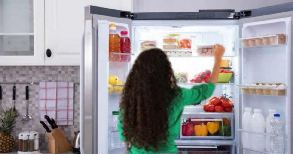Fridge Power Saving Tips: ফ্রিজ চালিয়ে বিদ্যুৎ সঞ্চয় করবেন কিভাবে?