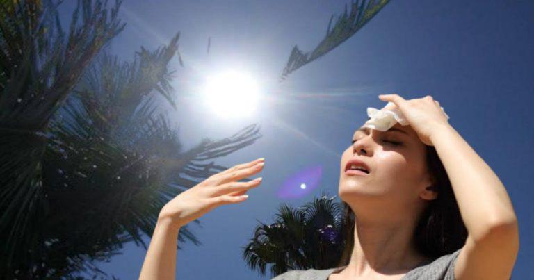 Heatwave Safety Tips: বিপজ্জনক তাপপ্রবাহ থেকে বাঁচতে কি কি করণীয়?	