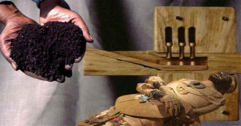 Egyptian Civilization: মানব সভ্যতায় মিশরীয়দের অবদান, আজও ব্যবহৃত হয় এগুলি	