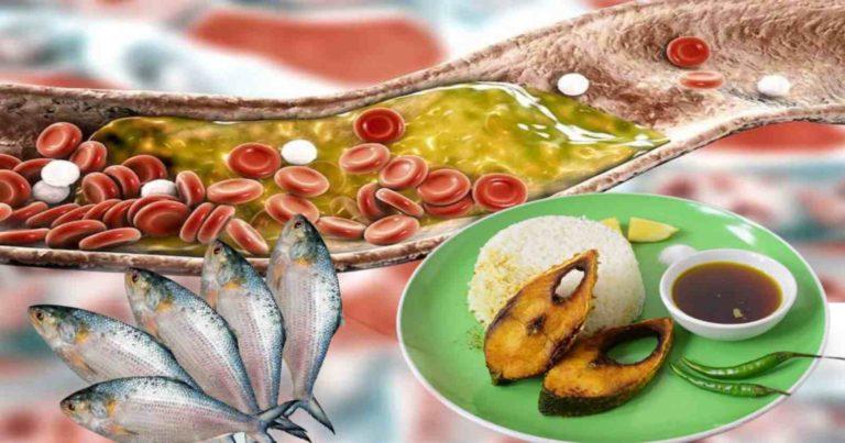 Ilish side effects: ইলিশ প্রেমীদেরও রেহাই নেই! হুমকি সুগার, কোলেস্টেরল, প্রেসারের?	