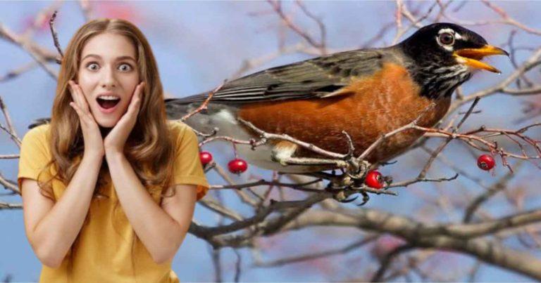 General Knowledge: দৈনন্দিন জীবনের কিছু সাধারণ জ্ঞান, যা অনেকেই জানে না	
