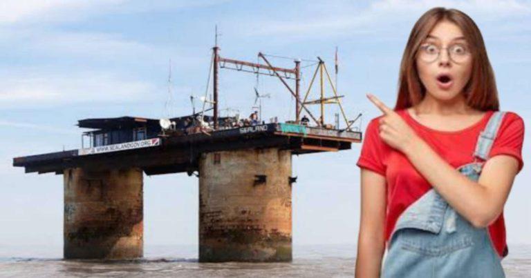 Smallest Country: পৃথিবীর সবচেয়ে ছোট দেশ সম্বন্ধে জানলে অবাক হবেন!	